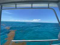 Great day of scuba diving in Key Largo with Rainbow Reef on conch ledge tropical odyssey 2022 06 16 r12688 1