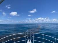 Great day of scuba diving in Key Largo with Rainbow Reef on conch wall tropical destiny 2022 06 29 r12793 1