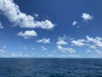 Great day of scuba diving in Key Largo with Rainbow Reef on double north tropical destiny 2022 06 28 r12787 1