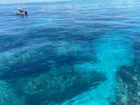 Great day of scuba diving in Key Largo with Rainbow Reef on eagle ray alley tropical odyssey 2022 06 23 r12747 1