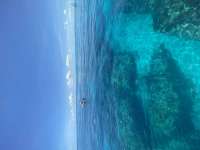 Great day of scuba diving in Key Largo with Rainbow Reef on eagle ray alley tropical odyssey 2022 06 23 r12747 3