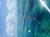 Great day of scuba diving in Key Largo with Rainbow Reef on fire coral cave tropical explorer 2022 06 21 r12728 1