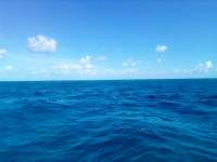 Great day of scuba diving in Key Largo with Rainbow Reef on french twist tropical adventure 2022 06 22 r12738 1
