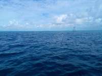 Great day of scuba diving in Key Largo with Rainbow Reef on hole in the wall tropical destiny 2022 06 02 r12601 1
