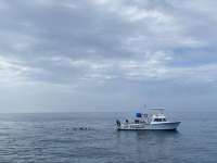 Great day of scuba diving in Key Largo with Rainbow Reef on hole in the wall tropical serenity 2022 06 09 r12635 2