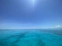 Great day of scuba diving in Key Largo with Rainbow Reef on molasses reef tropical destiny 2022 06 24 r12755 1