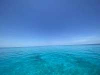 Great day of scuba diving in Key Largo with Rainbow Reef on molasses reef tropical destiny 2022 06 24 r12755 2