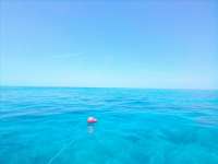 Great day of scuba diving in Key Largo with Rainbow Reef on sand island tropical adventure 2022 06 24 r12754 1