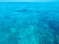 Great day of scuba diving in Key Largo with Rainbow Reef on sand island tropical adventure 2022 06 24 r12754 2