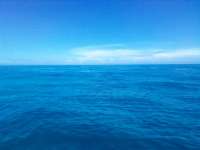 Great day of scuba diving in Key Largo with Rainbow Reef on snapper ledge tropical odyssey 2022 06 05 r12612 1