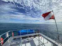 Great day of scuba diving in Key Largo with Rainbow Reef on snapper ledge tropical serenity 2022 06 07 r12620 1