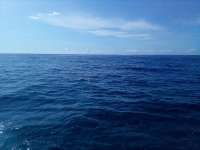 Great day of scuba diving in Key Largo with Rainbow Reef on spanish anchor tropical serenity 2022 06 19 r12709 1