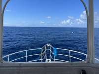 Great day of scuba diving in Key Largo with Rainbow Reef on spiegel grove tropical destiny 2022 06 27 r12778 1