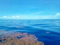 Great day of scuba diving in Key Largo with Rainbow Reef on spiegel grove tropical explorer 2022 06 23 r12748 1