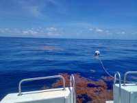 Great day of scuba diving in Key Largo with Rainbow Reef on spiegel grove tropical explorer 2022 06 23 r12748 2