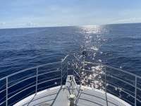 Great day of scuba diving in Key Largo with Rainbow Reef on spiegel grove tropical odyssey 2022 06 23 r12745 1