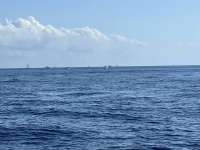Great day of scuba diving in Key Largo with Rainbow Reef on uscgc duane tropical destiny 2022 06 18 r12700 1