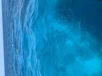 Great day of scuba diving in Key Largo with Rainbow Reef on city of washington tropical serenity 2022 03 26 r12245 1
