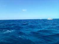 Great day of scuba diving in Key Largo with Rainbow Reef on north star tropical legend 2022 03 16 r12203 1