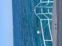 Great day of scuba diving in Key Largo with Rainbow Reef on snapper ledge tropical serenity 2022 03 27 r12252 1