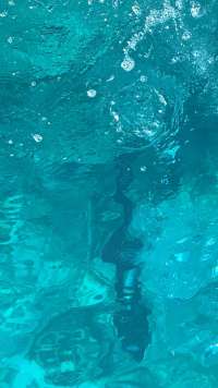 Great day of scuba diving in Key Largo with Rainbow Reef on spiegel grove tropical adventure 2022 03 28 r12261 1