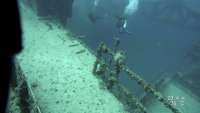 Great day of scuba diving in Key Largo with Rainbow Reef on spiegel grove tropical adventure 2022 03 28 r12261 2