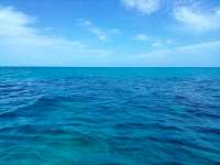 Great day of scuba diving in Key Largo with Rainbow Reef on the horseshoe tropical destiny 2022 03 17 r12211 2