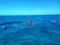 Great day of scuba diving in Key Largo with Rainbow Reef on winch hole tropical legend 2022 03 18 r12215 1