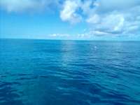 Great day of scuba diving in Key Largo with Rainbow Reef on benwood wreck tropical destiny 2022 05 19 r12521 1