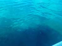 Great day of scuba diving in Key Largo with Rainbow Reef on benwood wreck tropical destiny 2022 05 19 r12521 2