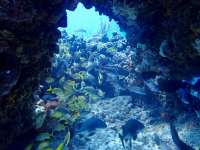 Great day of scuba diving in Key Largo with Rainbow Reef on christmastree cave tropical serenity 2022 05 20 r12526 1