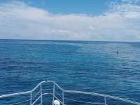 Great day of scuba diving in Key Largo with Rainbow Reef on city of washington tropical odyssey 2022 05 16 r12506 1