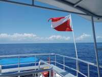 Great day of scuba diving in Key Largo with Rainbow Reef on city of washington tropical serenity 2022 05 10 r12458 1