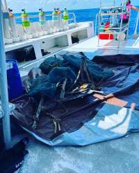 Great day of scuba diving in Key Largo with Rainbow Reef on dad staff tropical serenity 2022 05 26 r12550 1