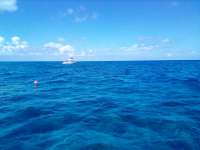 Great day of scuba diving in Key Largo with Rainbow Reef on eagle ray alley tropical destiny 2022 05 27 r12555 1