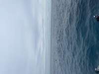 Great day of scuba diving in Key Largo with Rainbow Reef on french reef tropical explorer 2022 05 31 r12586 1