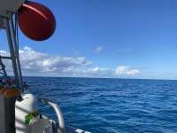 Great day of scuba diving in Key Largo with Rainbow Reef on french twist tropical legend 2022 05 17 r12507 1