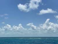 Great day of scuba diving in Key Largo with Rainbow Reef on french twist tropical odyssey 2022 05 27 r12554 2