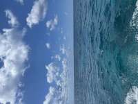 Great day of scuba diving in Key Largo with Rainbow Reef on molasses reef tropical explorer 2022 05 01 r12404 1