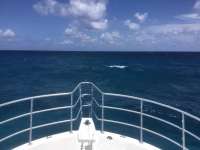 Great day of scuba diving in Key Largo with Rainbow Reef on north star tropical destiny 2022 05 25 r12544 1