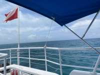 Great day of scuba diving in Key Largo with Rainbow Reef on pickles reef tropical adventure 2022 05 20 r12530 1