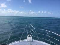 Great day of scuba diving in Key Largo with Rainbow Reef on pickles reef tropical adventure 2022 05 23 r12543 1