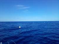 Great day of scuba diving in Key Largo with Rainbow Reef on spiegel grove tropical destiny 2022 05 18 r12515 1