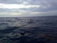 Great day of scuba diving in Key Largo with Rainbow Reef on spiegel grove tropical destiny 2022 05 20 r12527 1