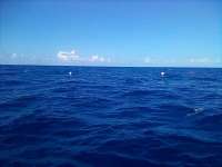 Great day of scuba diving in Key Largo with Rainbow Reef on spiegel grove tropical destiny 2022 05 27 r12552 1