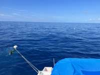 Great day of scuba diving in Key Largo with Rainbow Reef on spiegel grove tropical odyssey 2022 05 28 r12559 1