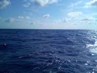 Great day of scuba diving in Key Largo with Rainbow Reef on uscgc duane tropical destiny 2022 05 26 r12545 1