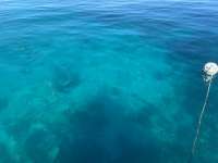 Great day of scuba diving in Key Largo with Rainbow Reef on banana patch tropical legend 2022 11 28 r13358 1
