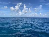 Great day of scuba diving in Key Largo with Rainbow Reef on benwood wreck tropical legend 2022 11 22 r13342 1