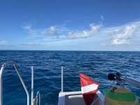 Great day of scuba diving in Key Largo with Rainbow Reef on christmastree cave tropical legend 2022 11 22 r13340 1